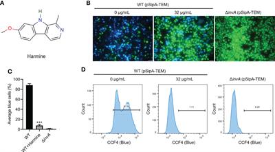 Harmine, an inhibitor of the type III secretion system of Salmonella enterica serovar Typhimurium